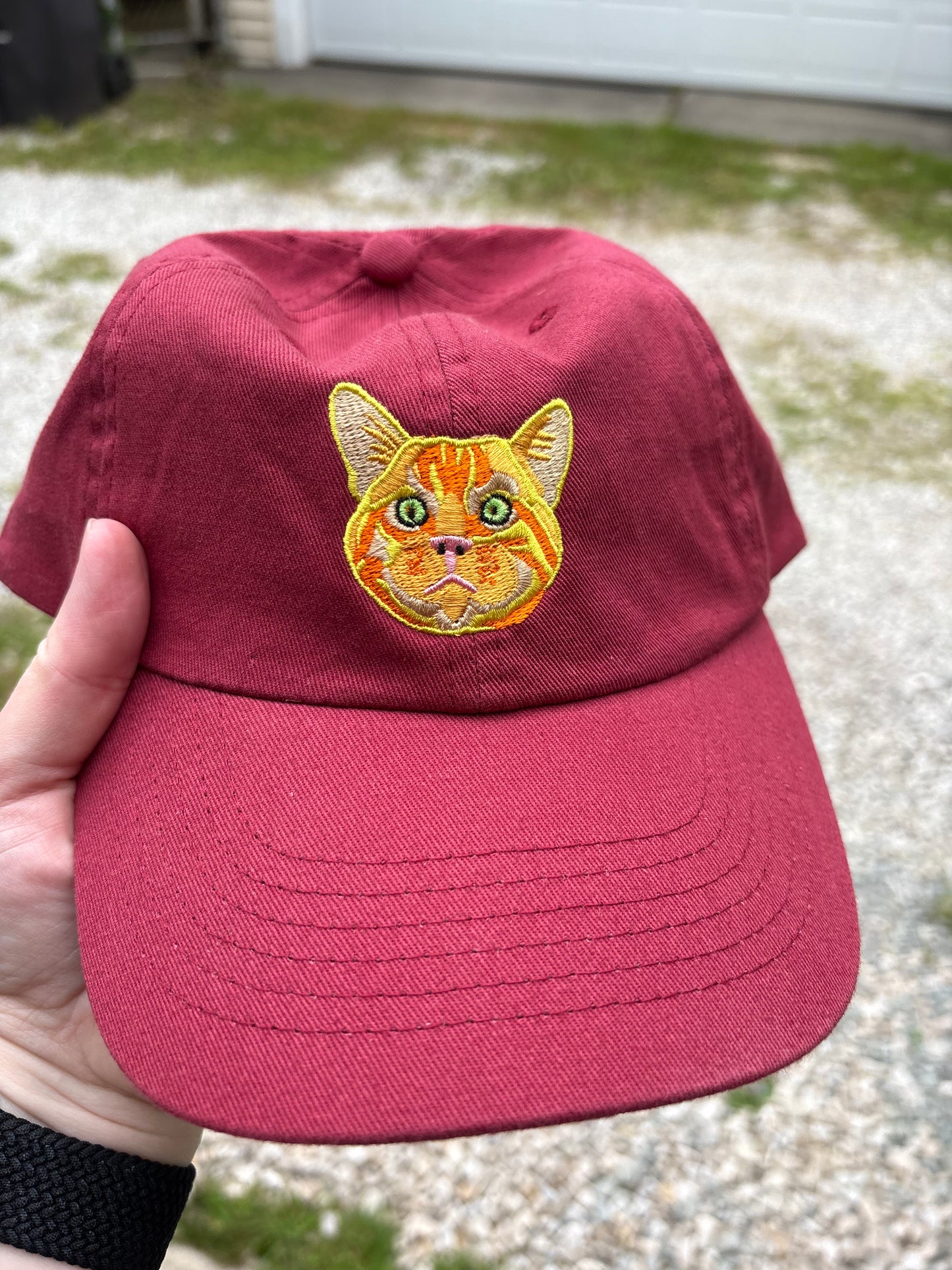 Cheddar – Ponno Cat Hat