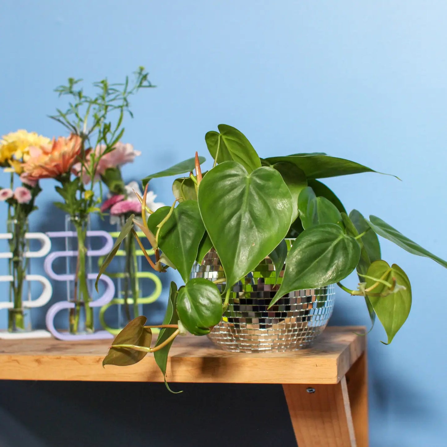 Disco Ball Planter