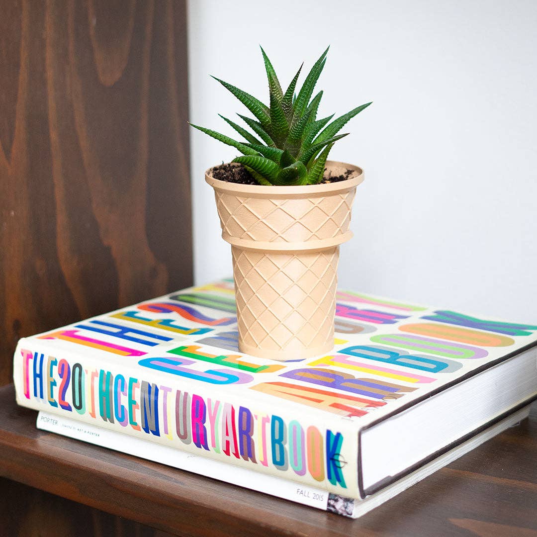Cone Planter