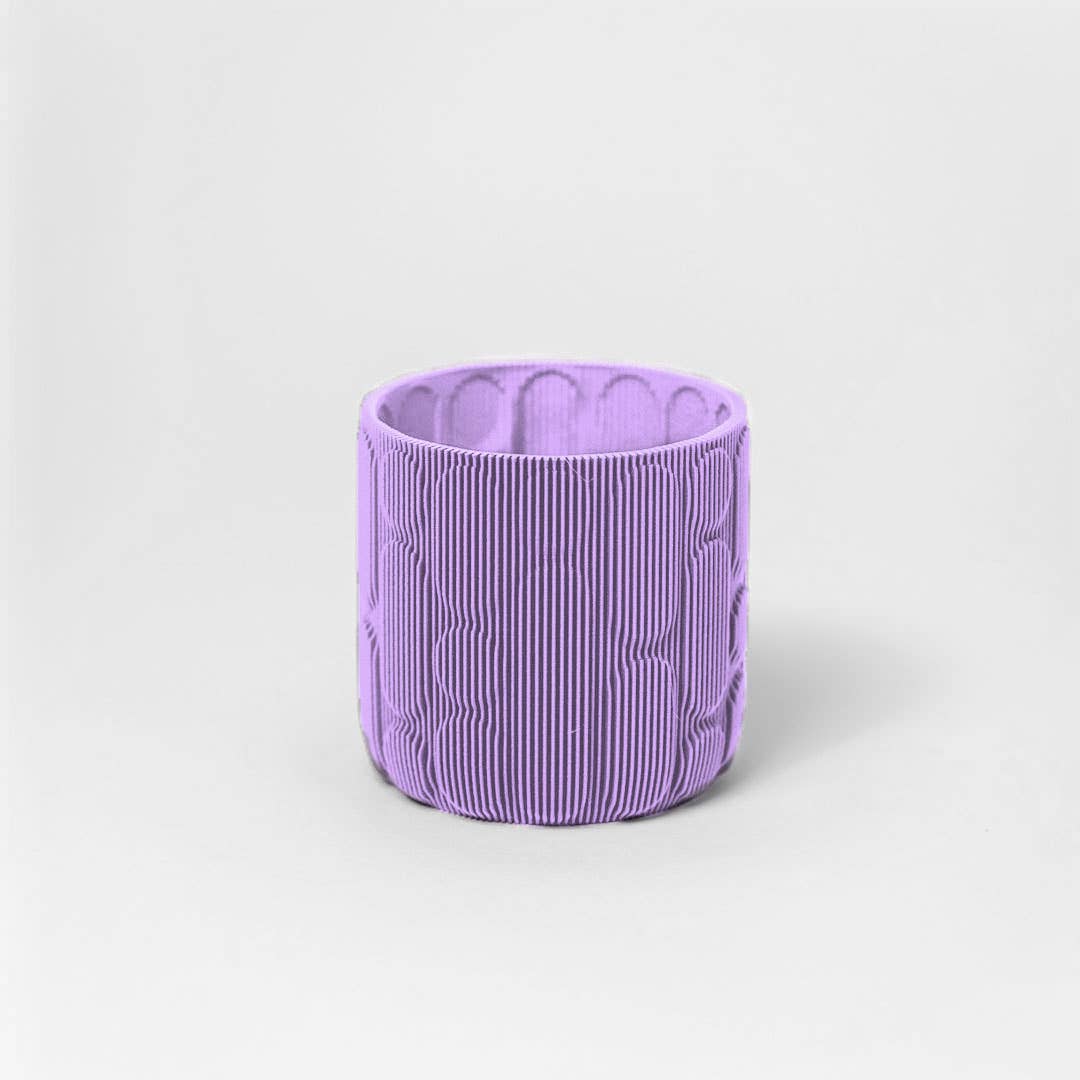 Cactus Planter