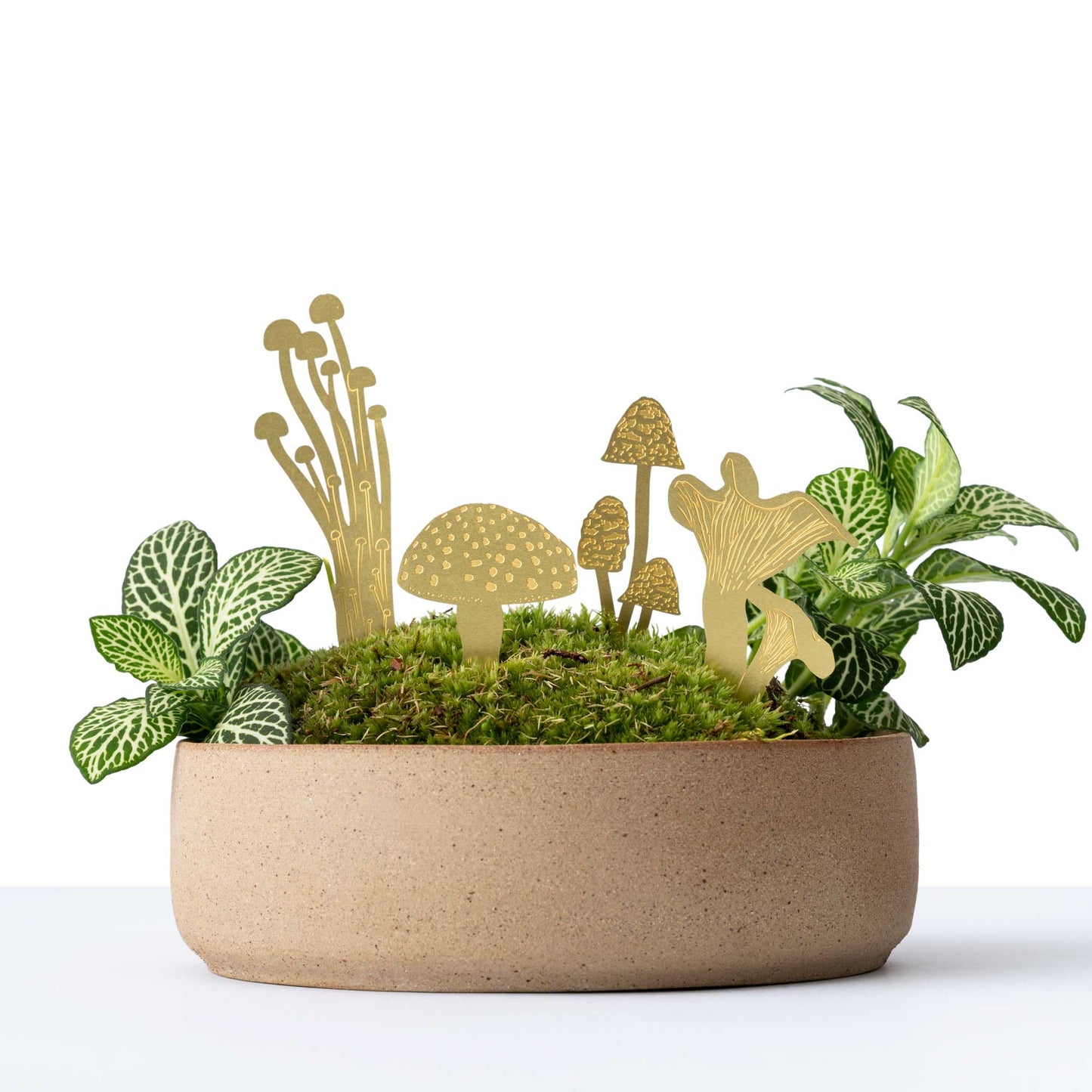 Mini Mushrooms Plant Decoration