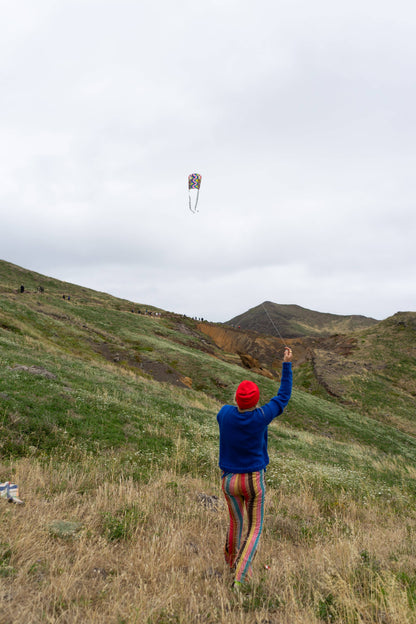 Pocket Kite