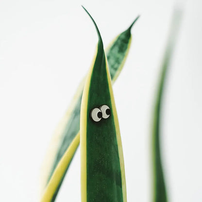 Googly Eye Plant Charms