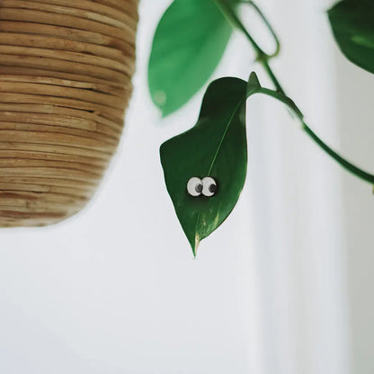 Googly Eye Plant Charms