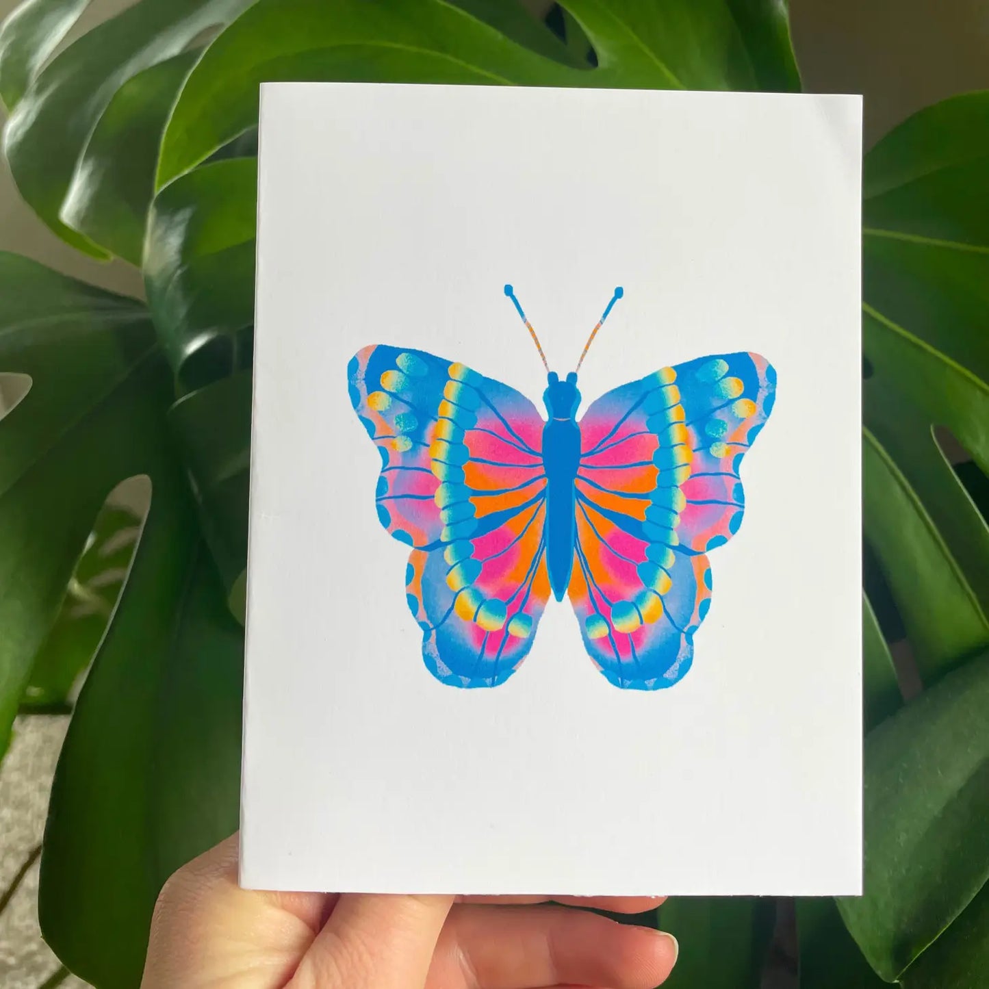 Colorful Moth Boxed Card Set