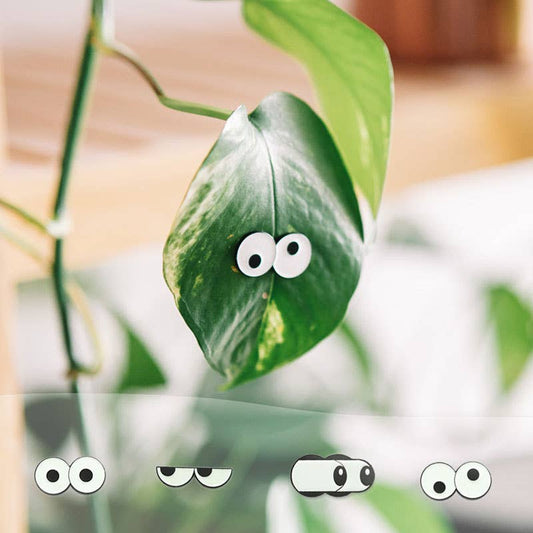 Glowing Eyes Plant Magnet