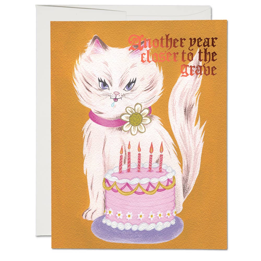 Kitty and Cake Card
