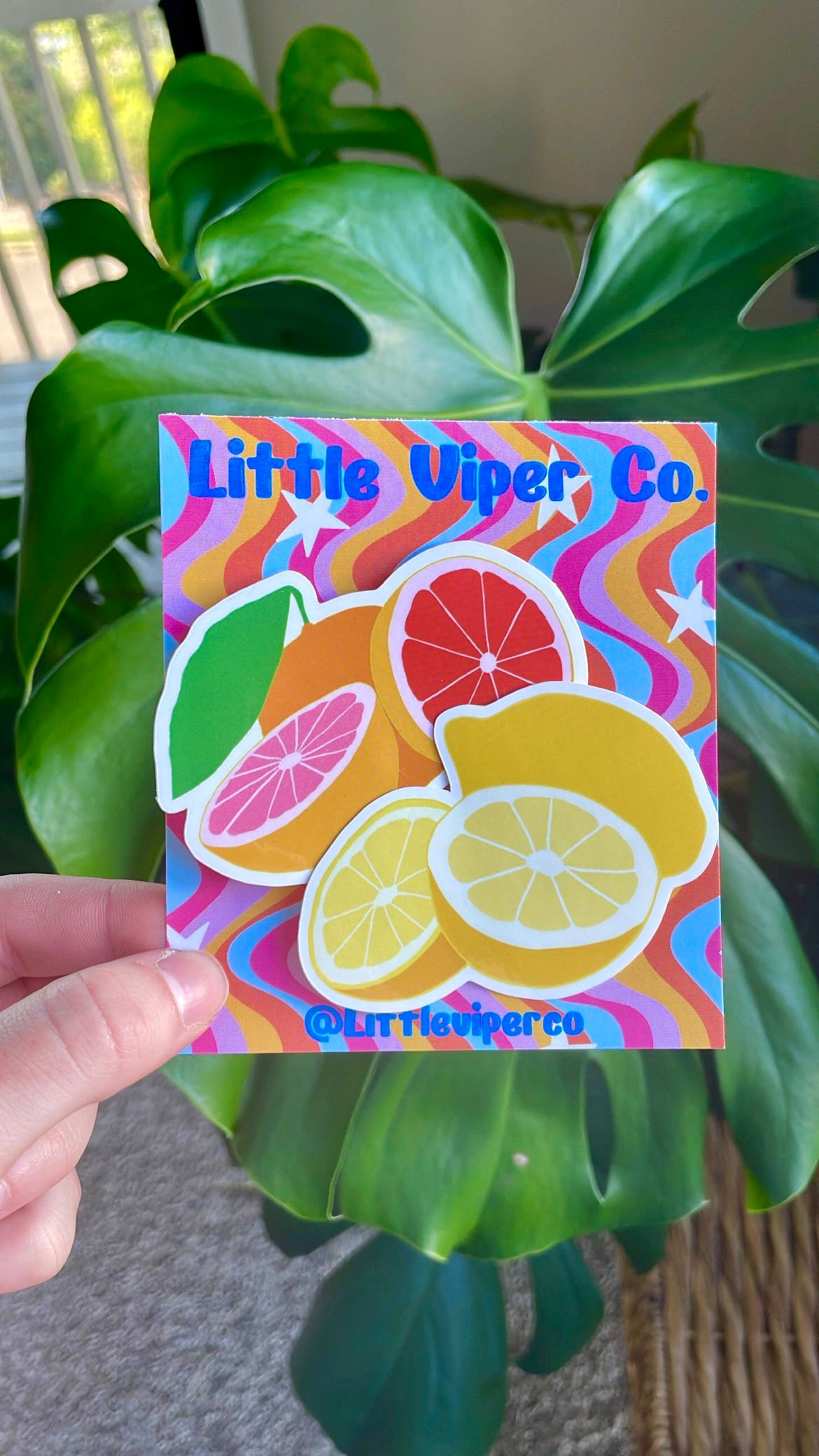 Citrus Sticker Pack