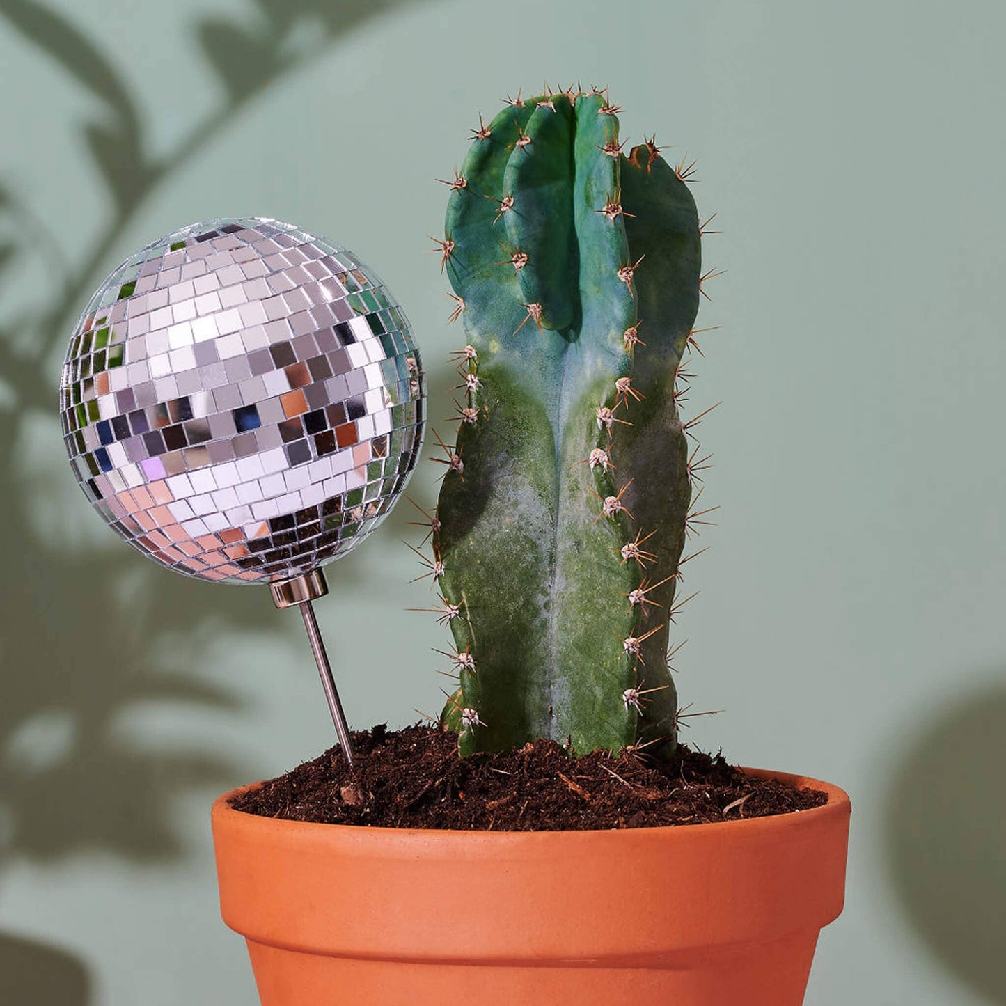 Disco Queen Plant Stake